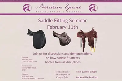 A poster for the meridian equine association 's saddle fitting seminar.