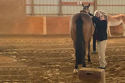 A woman standing next to a horse in an arena.