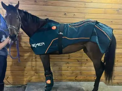 A horse wearing a blanket and standing in the barn.