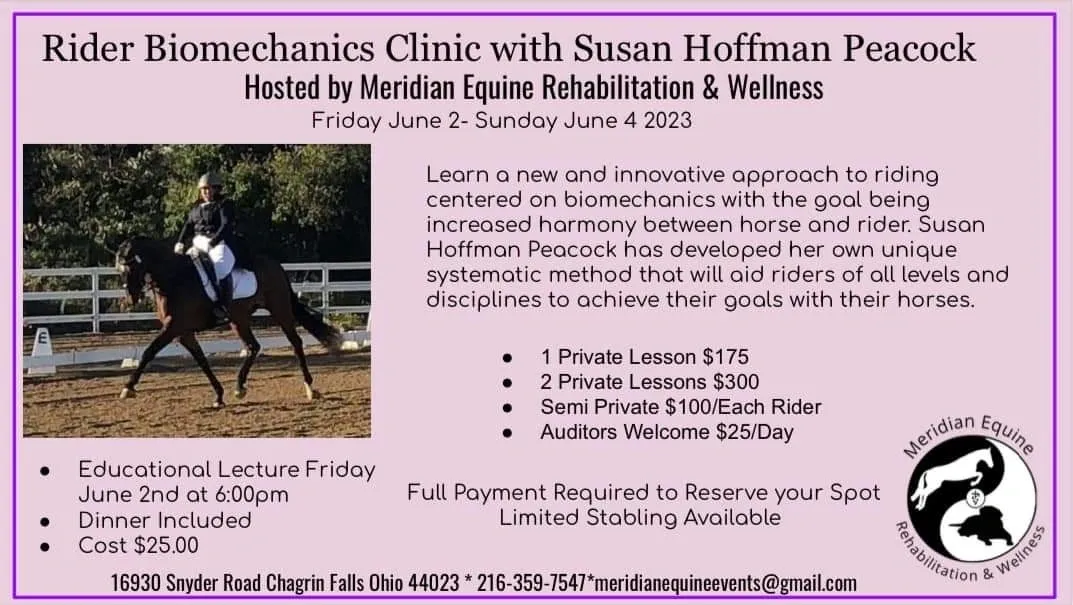 A flyer for the mechanics clinic with susan hoffman.