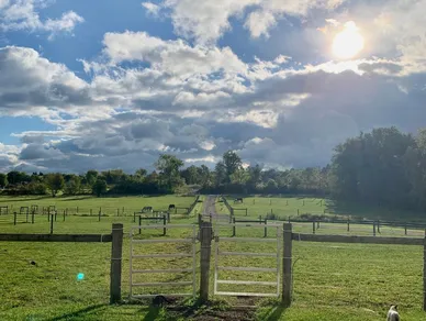 A field with some trees and clouds in the sky