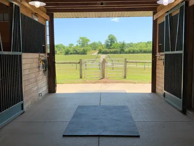 A view of a horse in the distance from inside a barn.