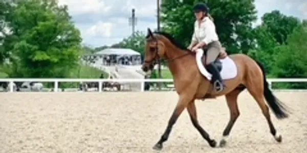 A woman riding on the back of a horse.